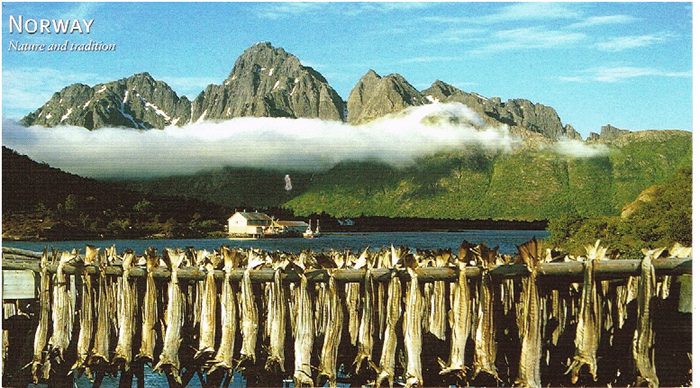 Rue chaude à Lofoten