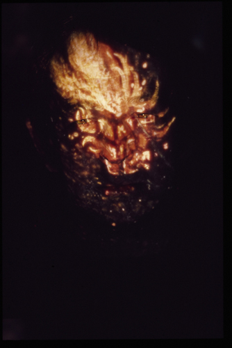 tete en feu